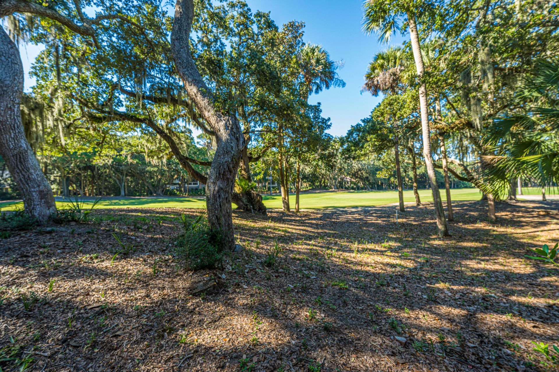 1116 Summerwind Lane Photo 50