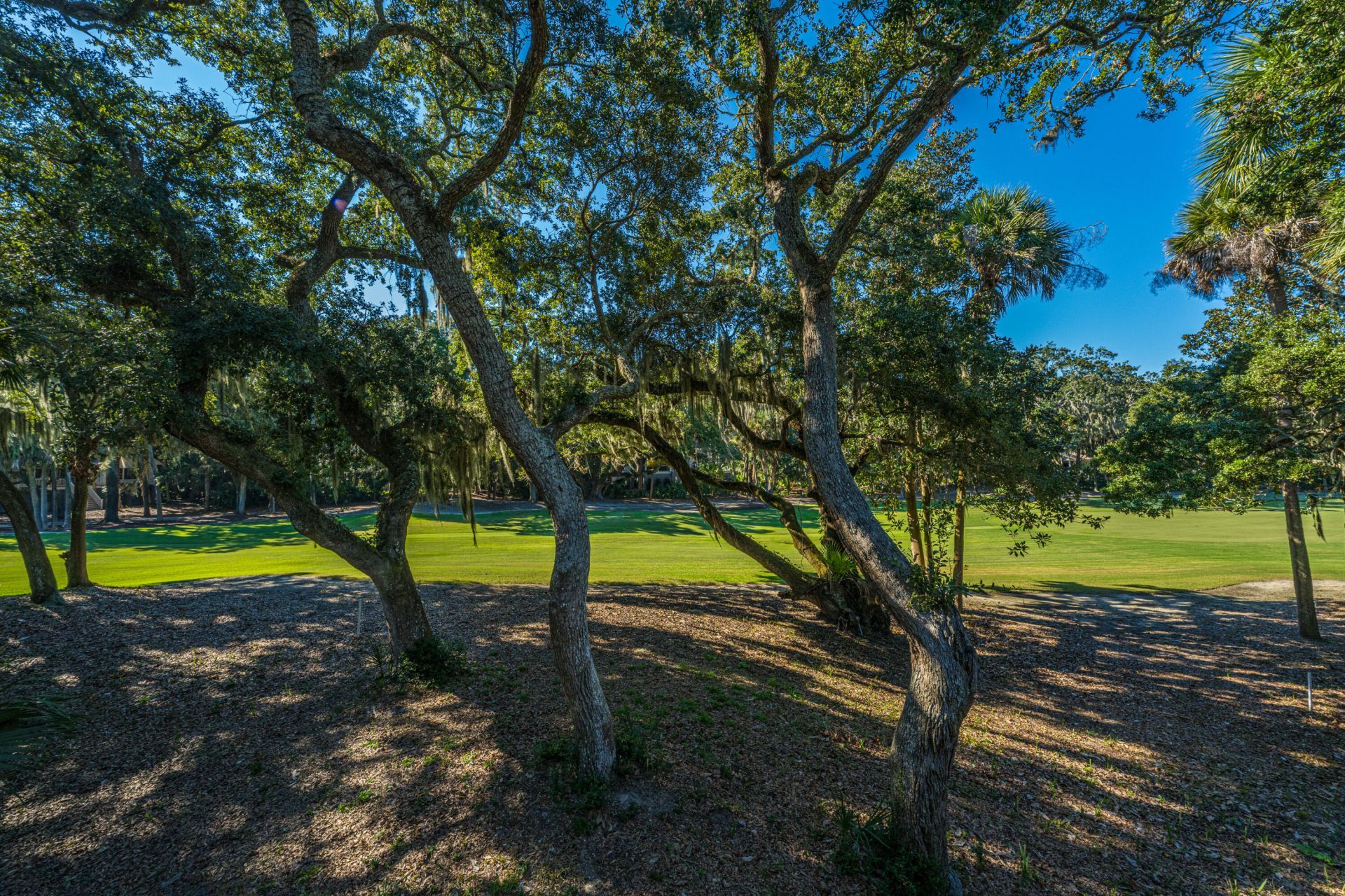 1116 Summerwind Lane Photo 52