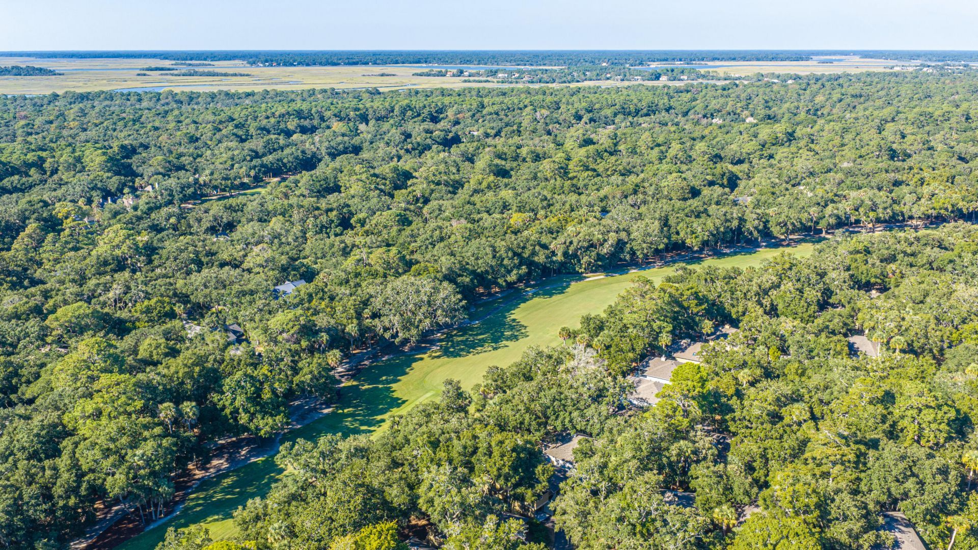 1116 Summerwind Lane Photo 59