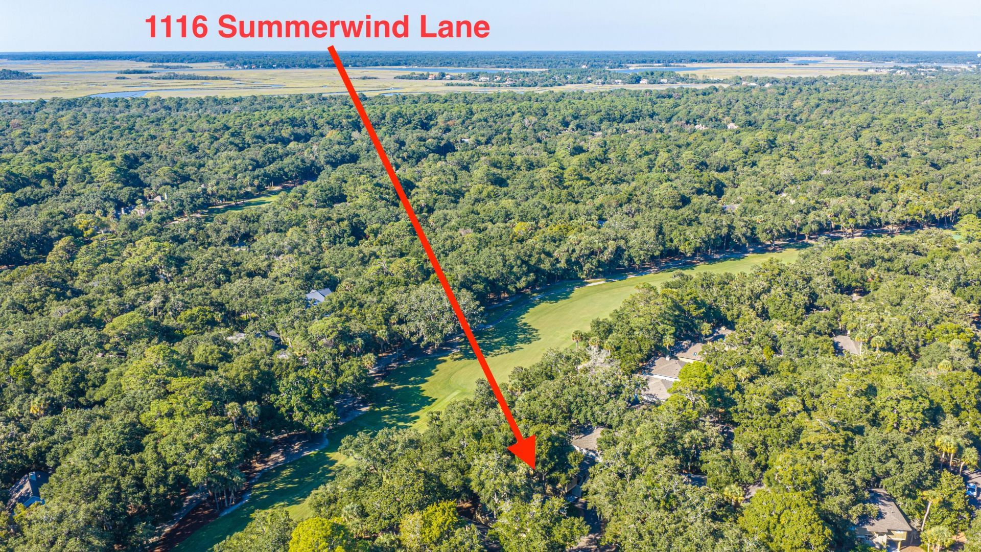 1116 Summerwind Lane Photo 60