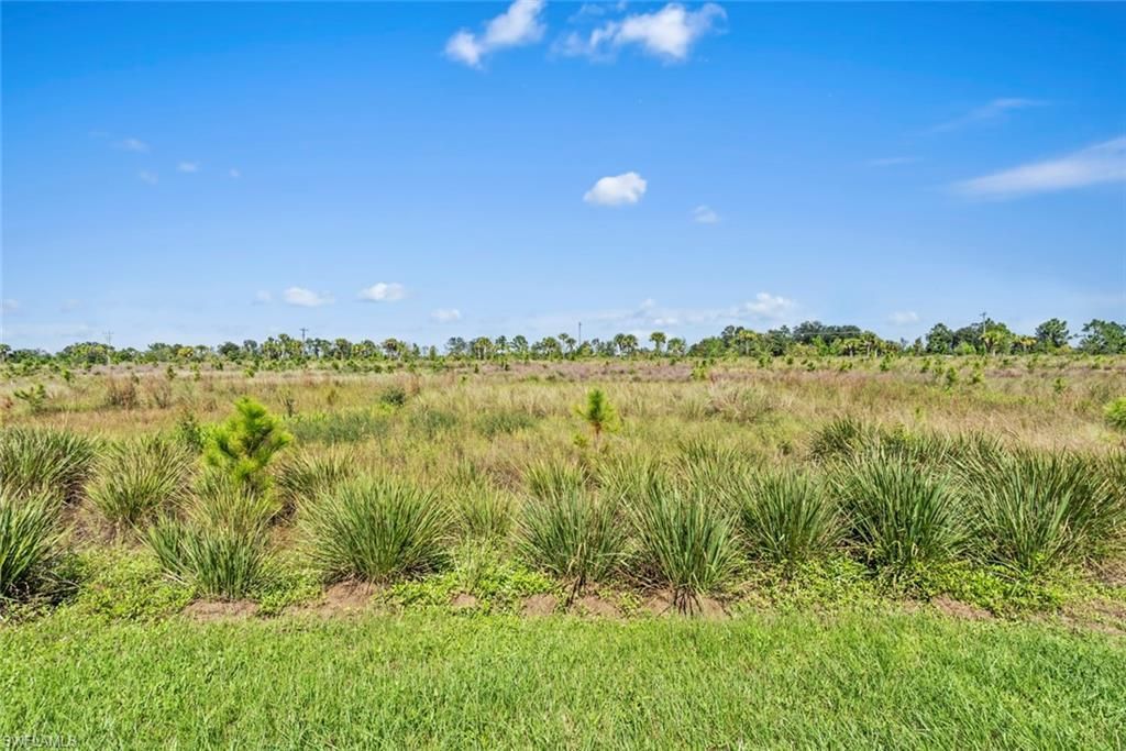 19540 Hinkley Dr , Estero, FL 33928 Photo