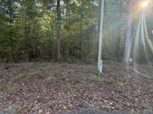 00 Southern Sportsman Loop , Livingston, AL 35470