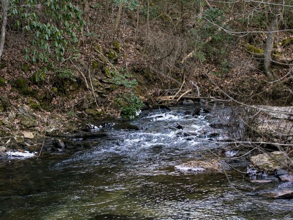 353 Rock Creek Road, Lookout Mountain, GA 30750