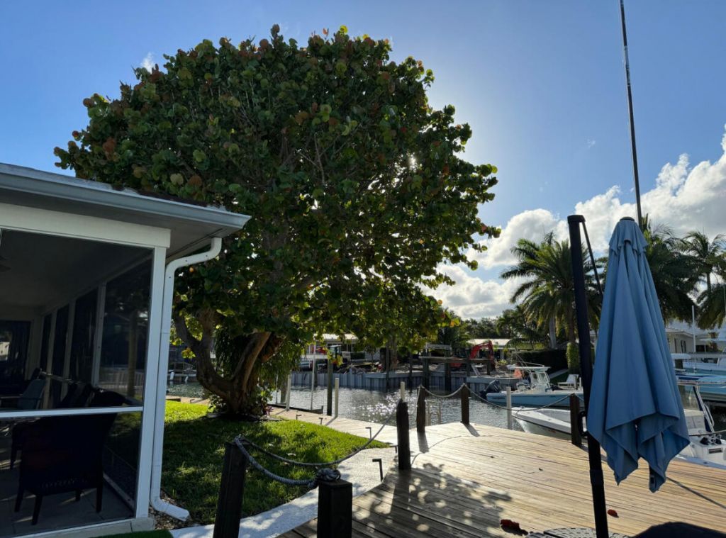 954 Marlin Circle, Jupiter, FL 33458 Photo