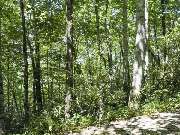 0 Mockingbird Lane, Sky Valley, GA 30537