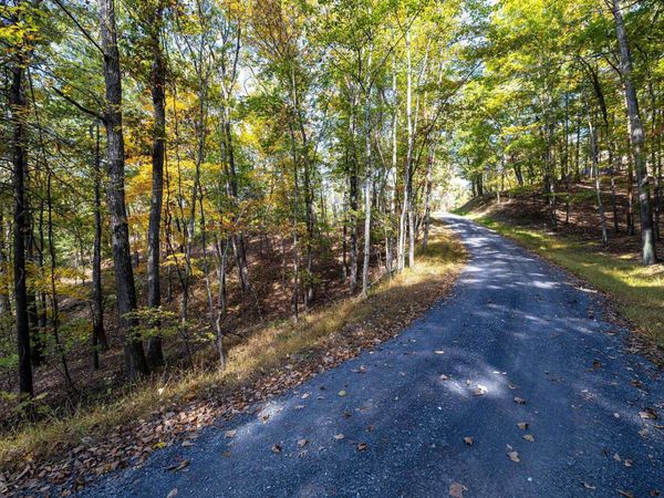 0 DAWN DR, Unit 330, BASYE, VA 22810