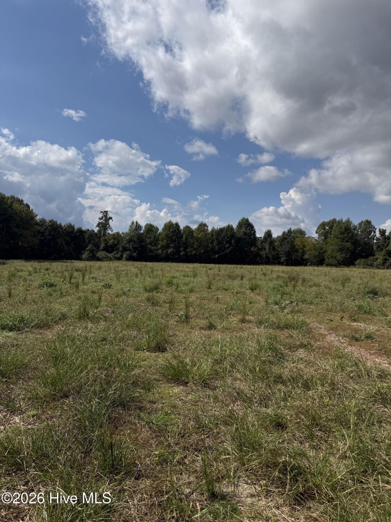 Parcel C Haywood Smith Road , Hertford, NC 27944 Main Photo