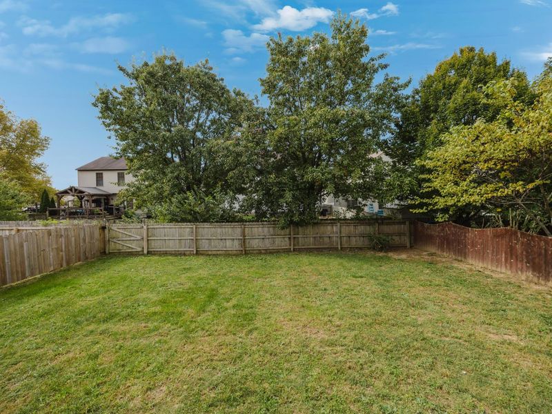 237 Rainswept Drive, Galloway, OH 43119 Photo 32