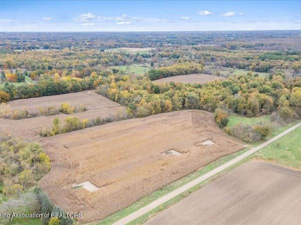 0 Clise Road, Bath, MI 48808