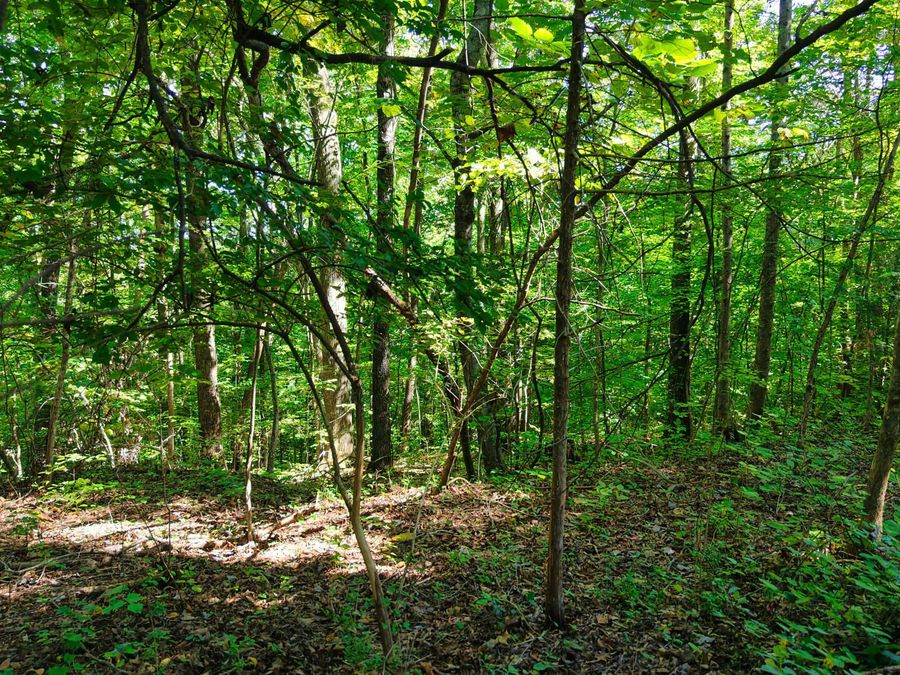 Property Image 31