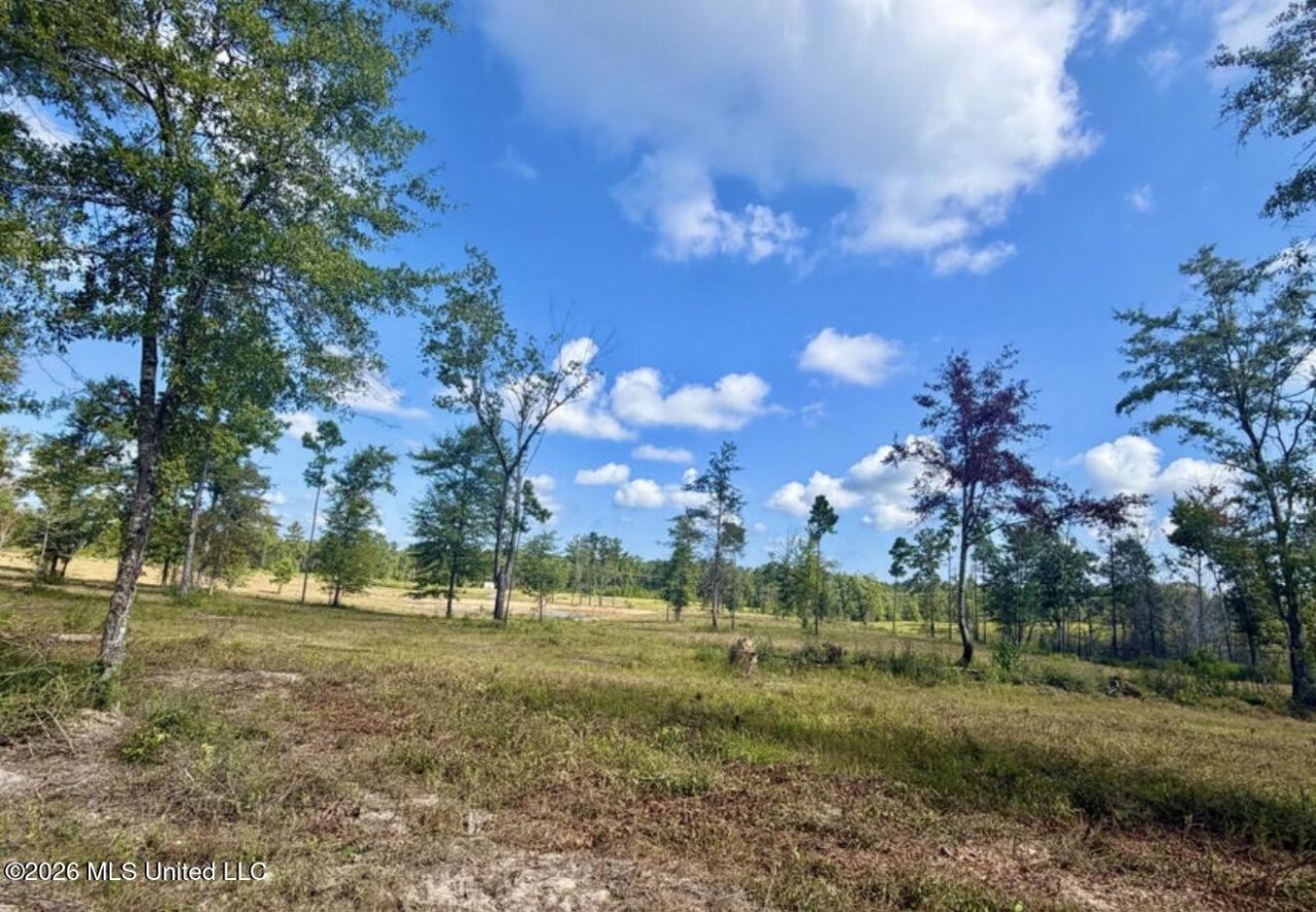 10.66 +/- Ac Industrial Park Road, Leakesville, MS 39451 Main Photo
