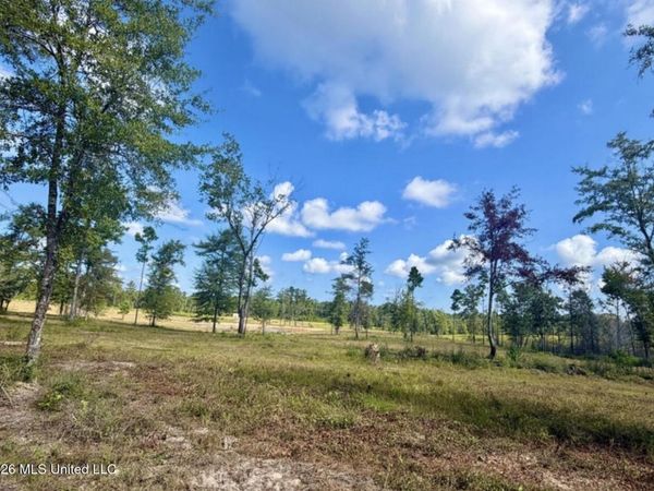 10.66 +/- Ac Industrial Park Road, Leakesville, MS 39451