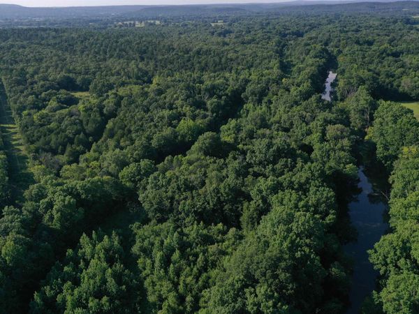 17803 Lucas Bottom Road, Booneville, AR 72927