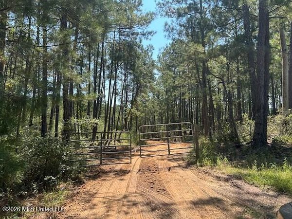 0 Charlie Rhodus Road, Magnolia, MS 39652