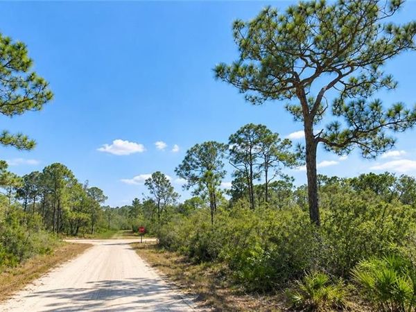 1204 Vesper Sparrow AVE , LAKE PLACID, FL 33852