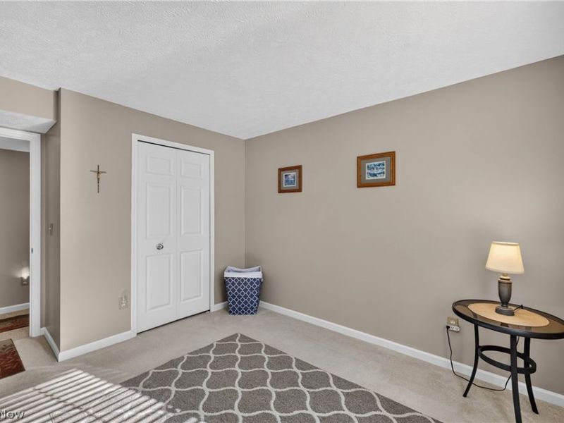 5723 Saint Thomas Lane, Madison, OH 44057 Photo 46