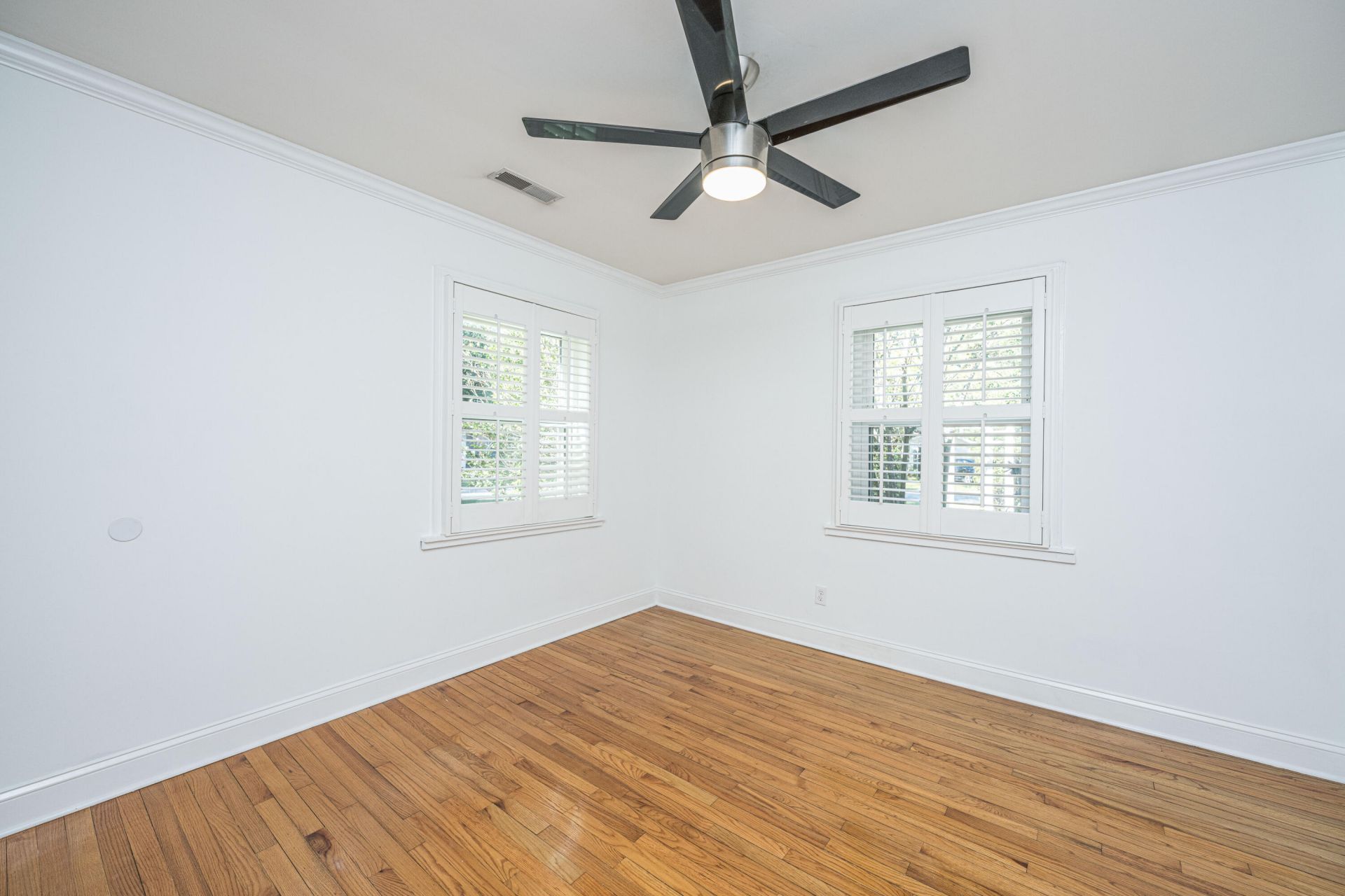 118 Mary Street Photo 17