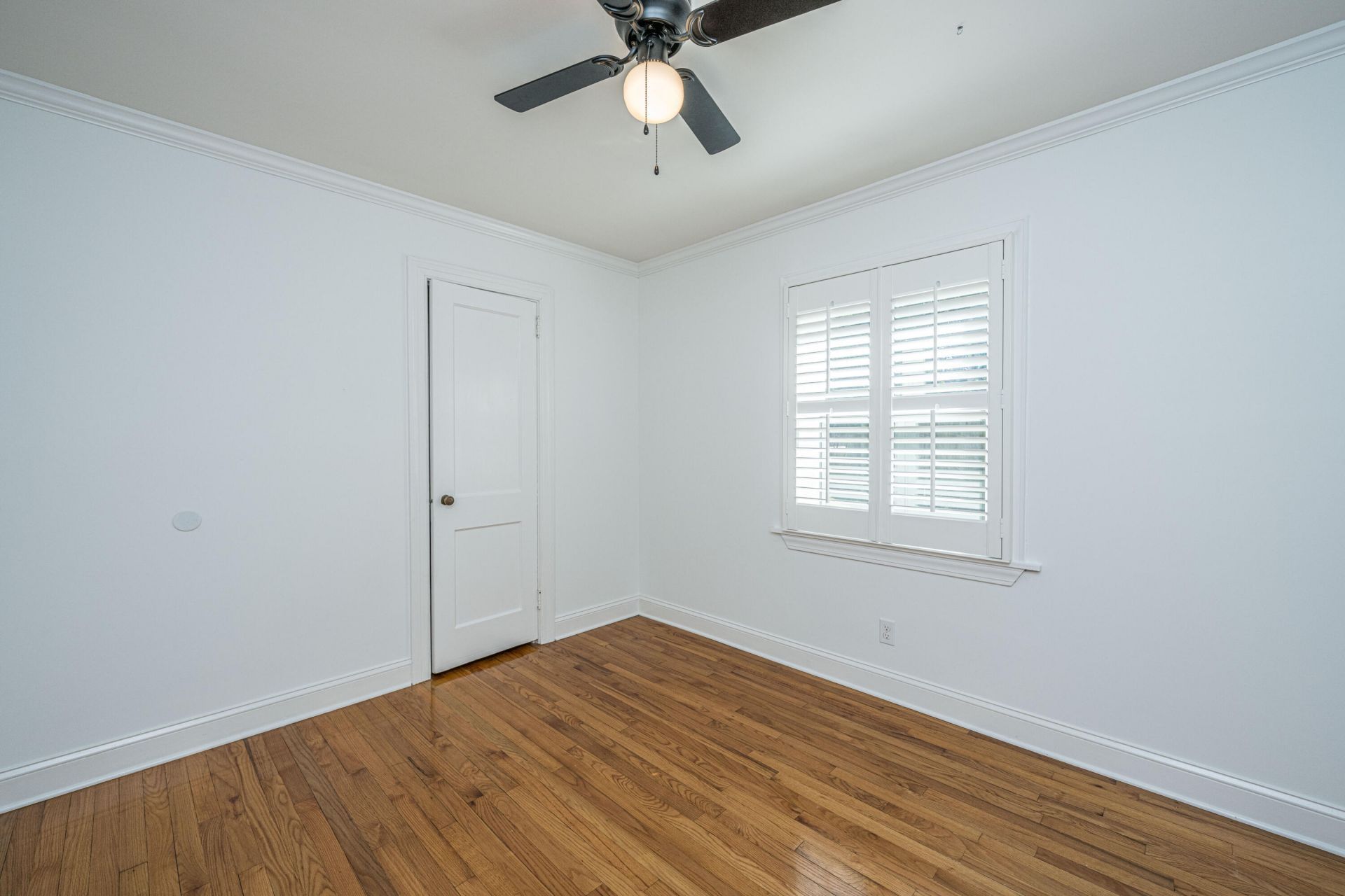 118 Mary Street Photo 23