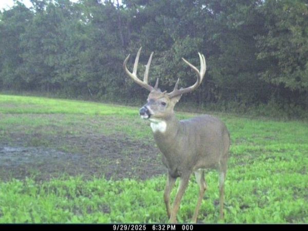 000 11th Ave, Adams, WI 53910