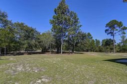 226 Crassula Drive  photo 4
