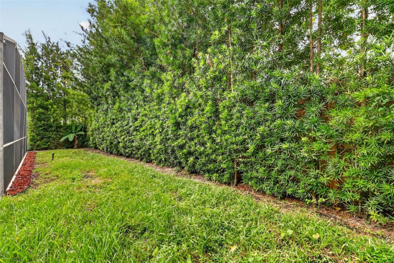 8484 Dover View Lane, Orlando, FL 32829 Photo