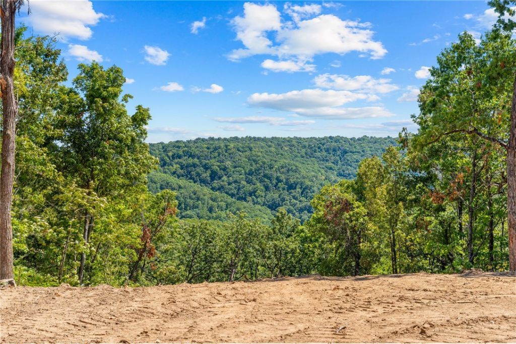 12538 Country Ridge , Lot #Lot 14, Omaha, AR 72662 Main Photo