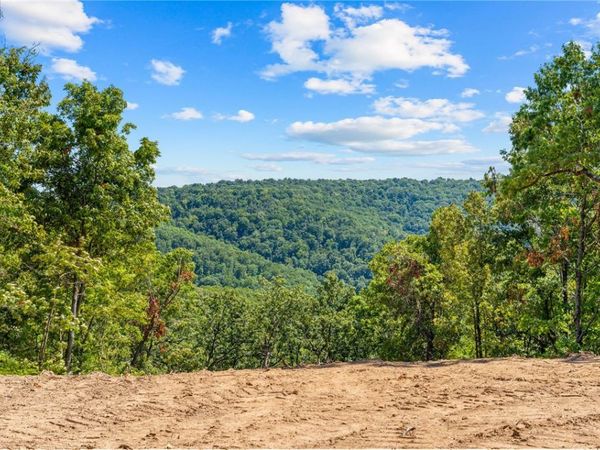 12538 Country Ridge , Unit Lot 14, Omaha, AR 72662