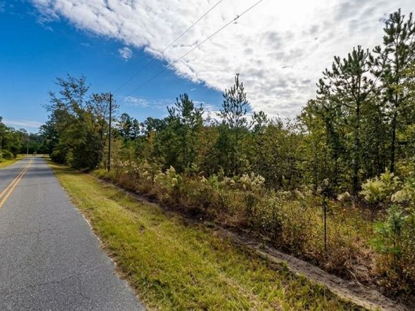 0 South Road, Unit LOT 60/61, Blackshear, GA 31516