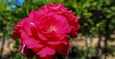 21748 Hyatt Rd, Nevada City, CA 95959 Photo
