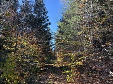 00 Stormy Hill Road, Cold Brook, NY 13324