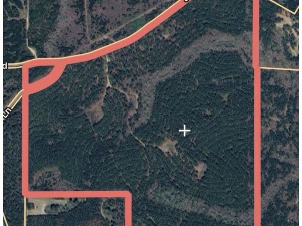 0 Joe Anthony Rd, Senoia, GA 30276