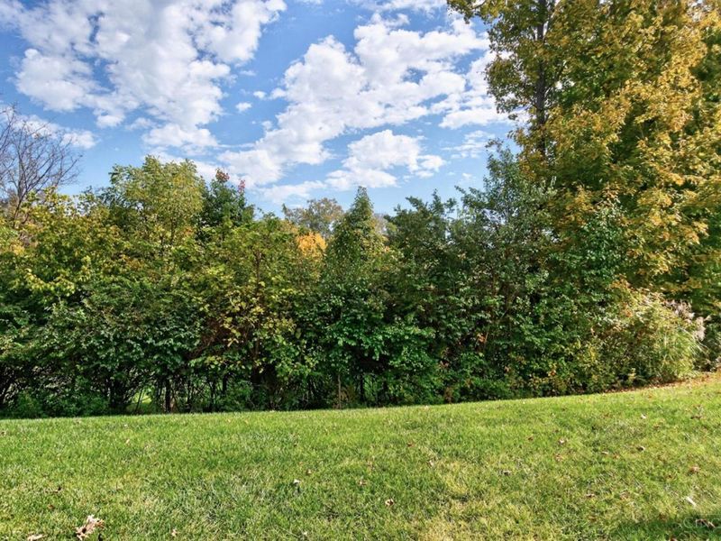 3664 Aston Woods Drive, Miami Township, OH 45002 Photo 41