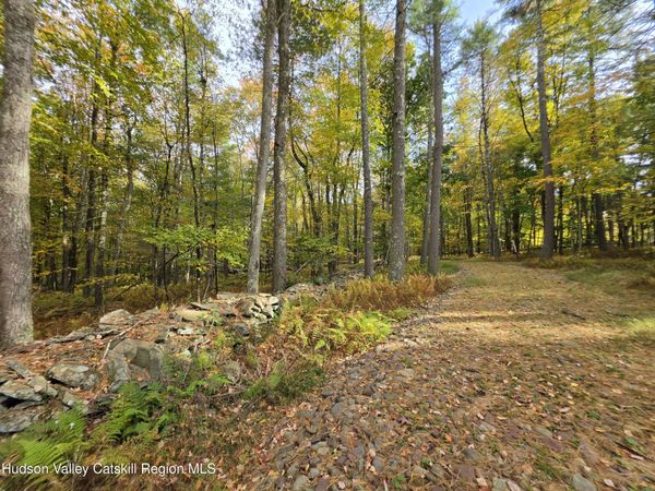 Lot 36 Evergreen Lane, Narrowsburg, NY 12764
