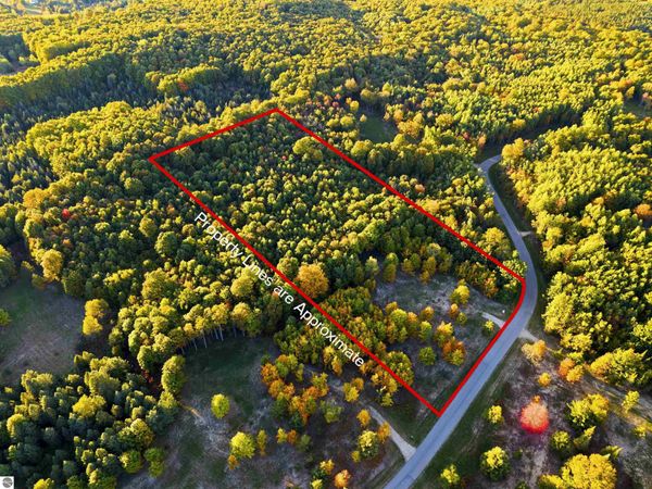 10825 Pine Ridge Drive SW, Fife Lake, MI 49633