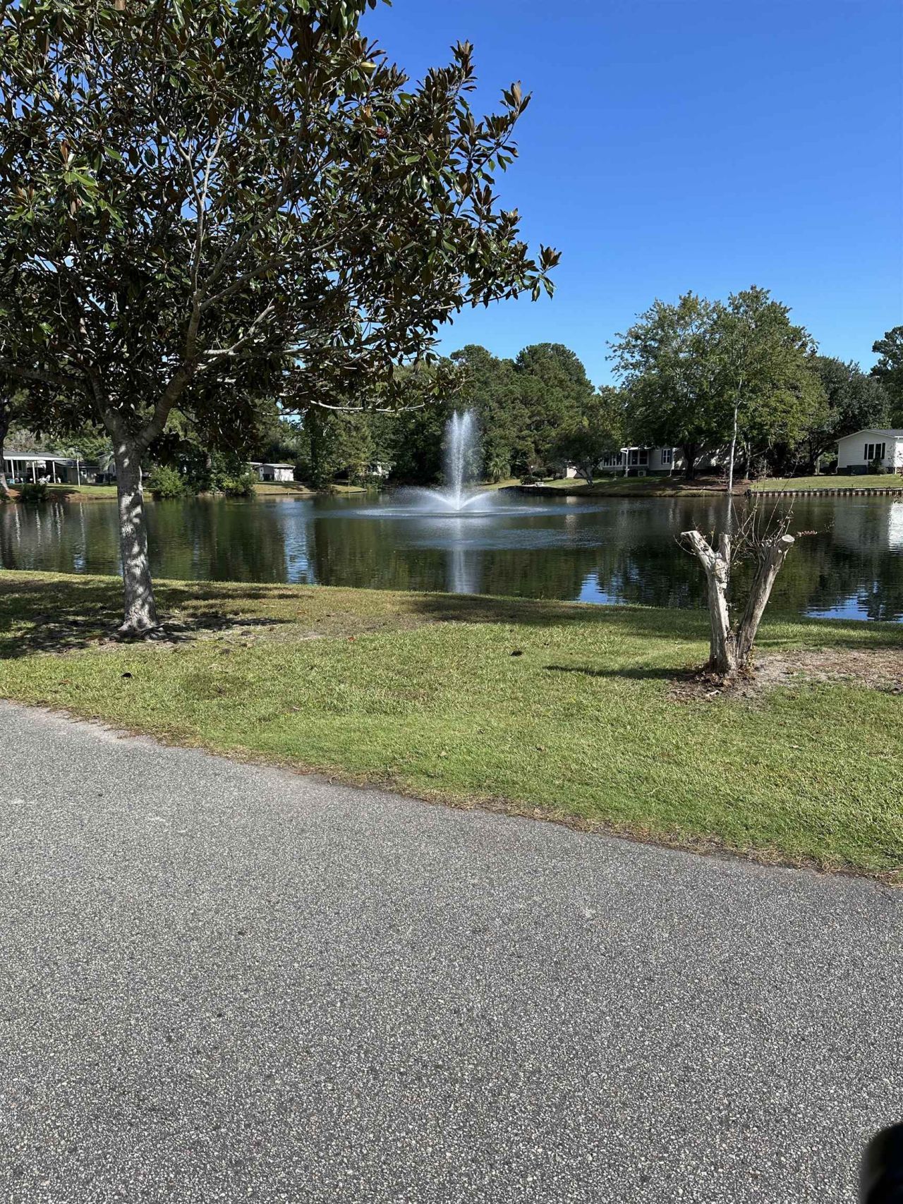 3131 Moon Shadow Ln.  Photo 37