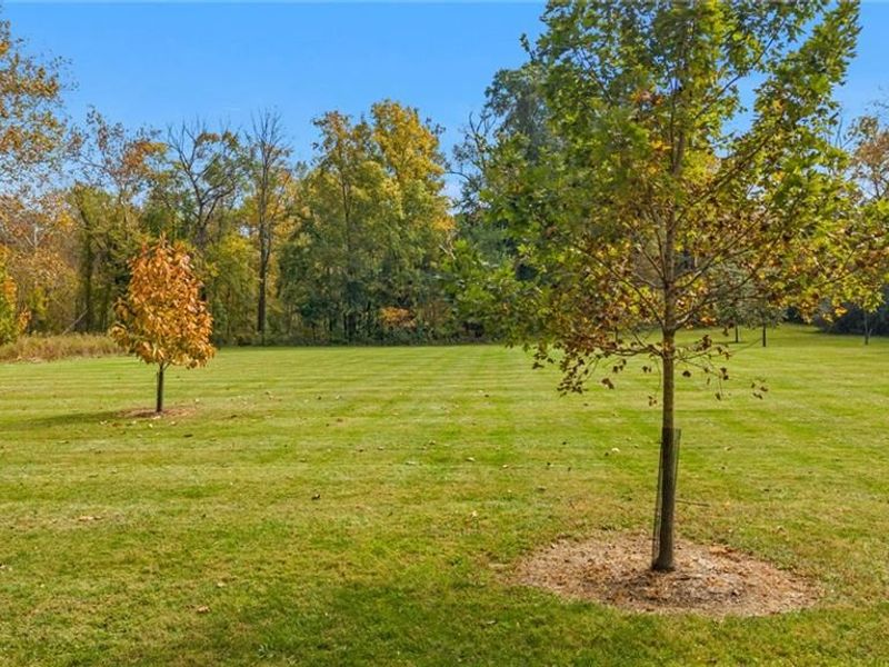8710 Park Haven Point, Centerville, OH 45458 Photo 36