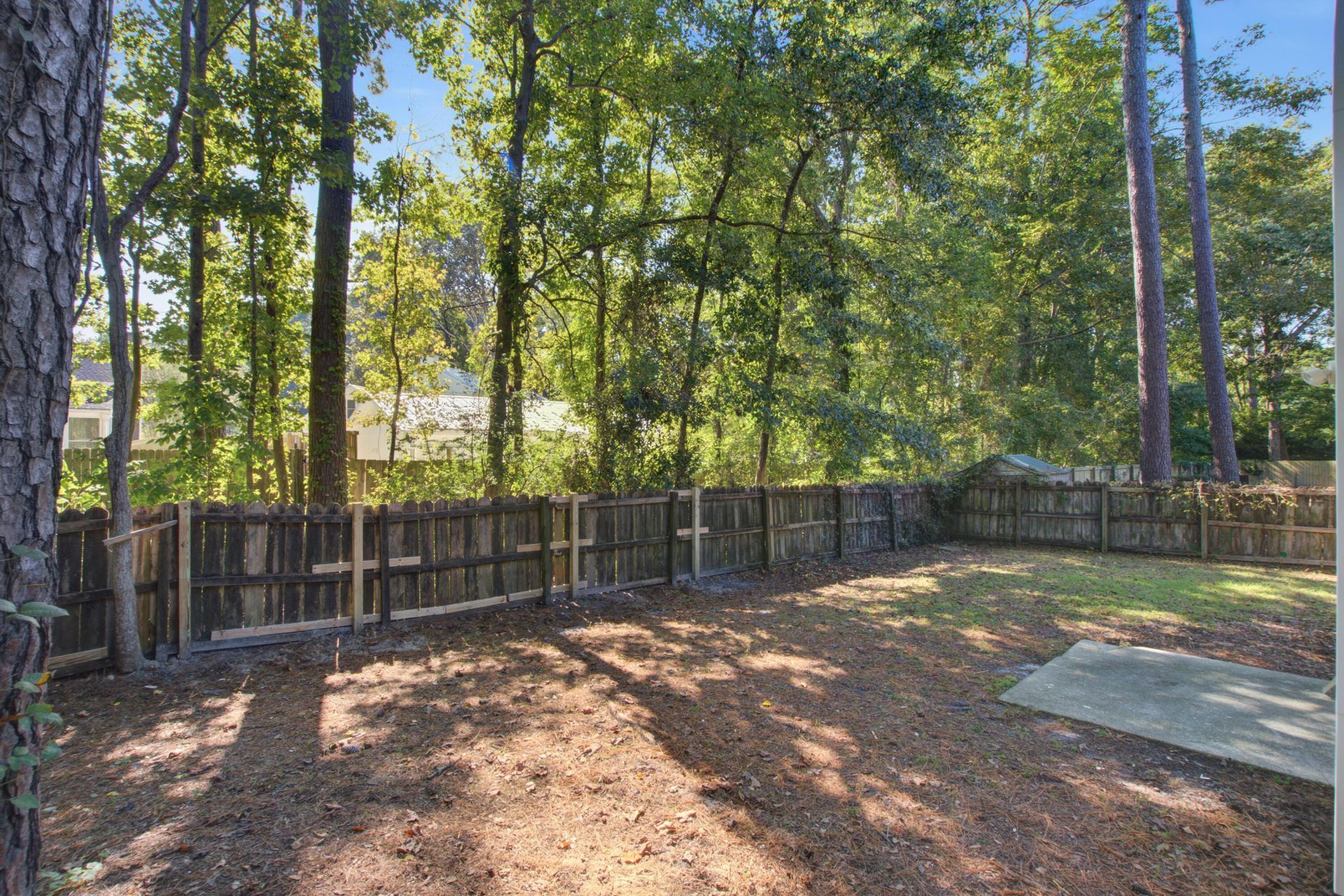 112 Blue Ridge Trail Photo 36