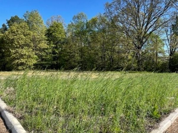 Lot 1 Farmer Hills , Jonesboro, AR 72404