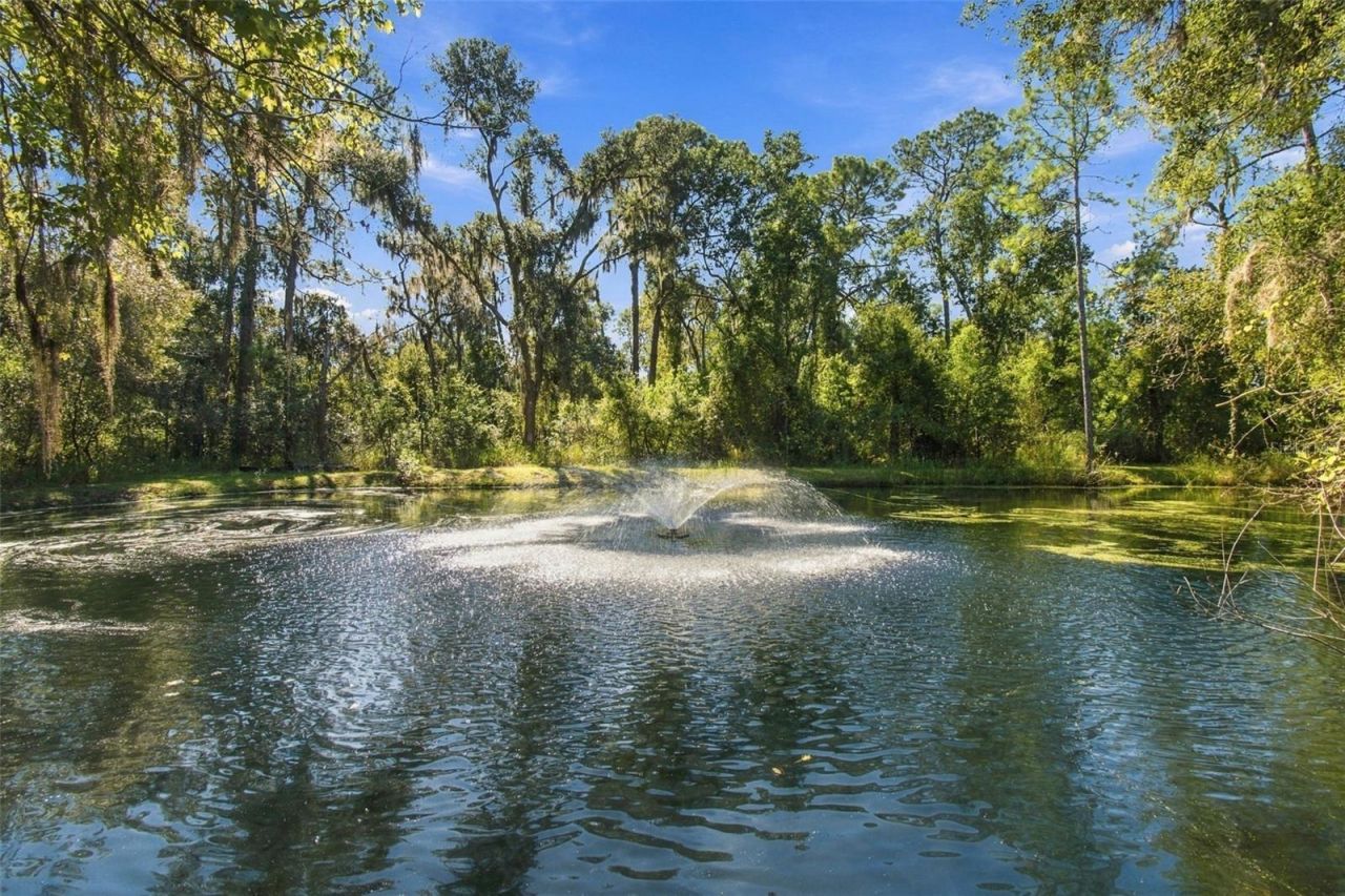 13887 Gavin Road, Dover, FL 33527 Photo