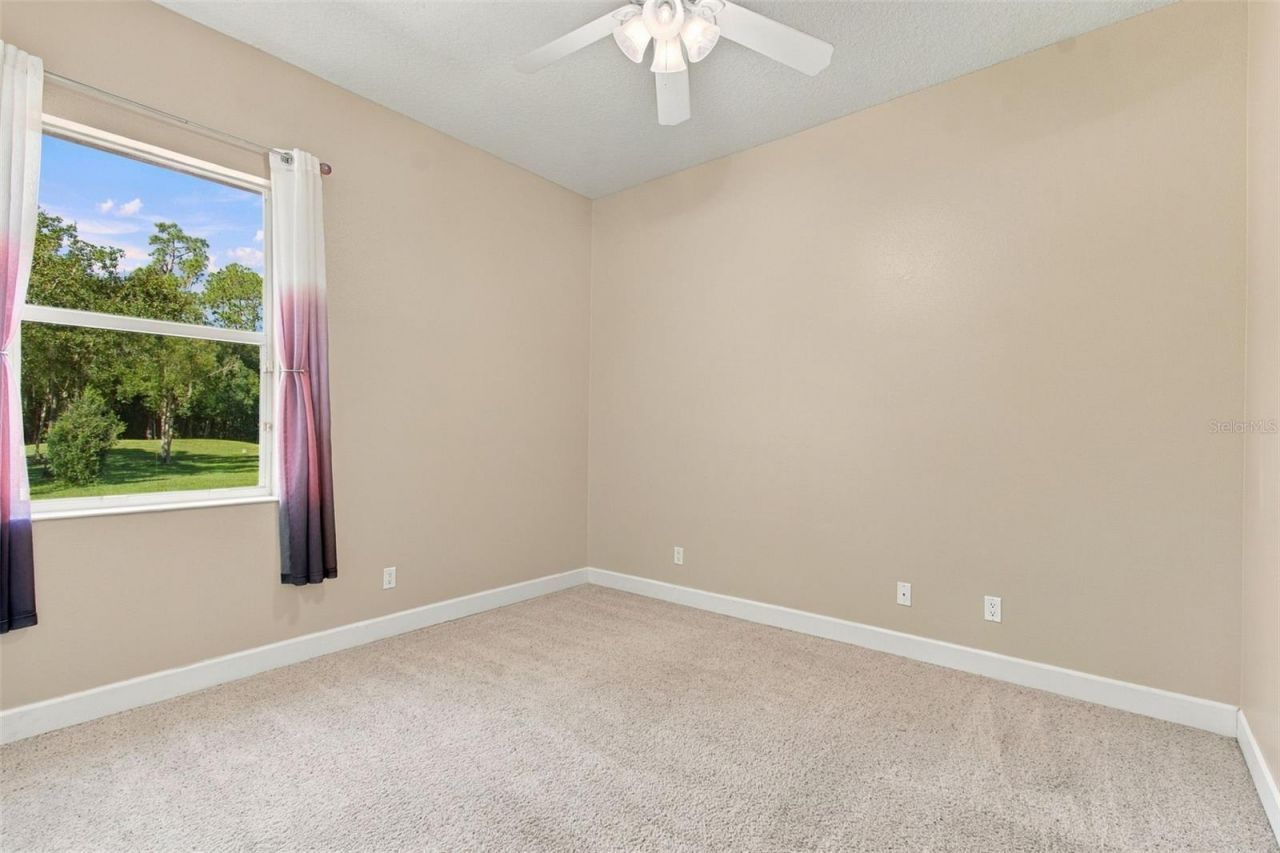 13887 Gavin Road, Dover, FL 33527 Photo