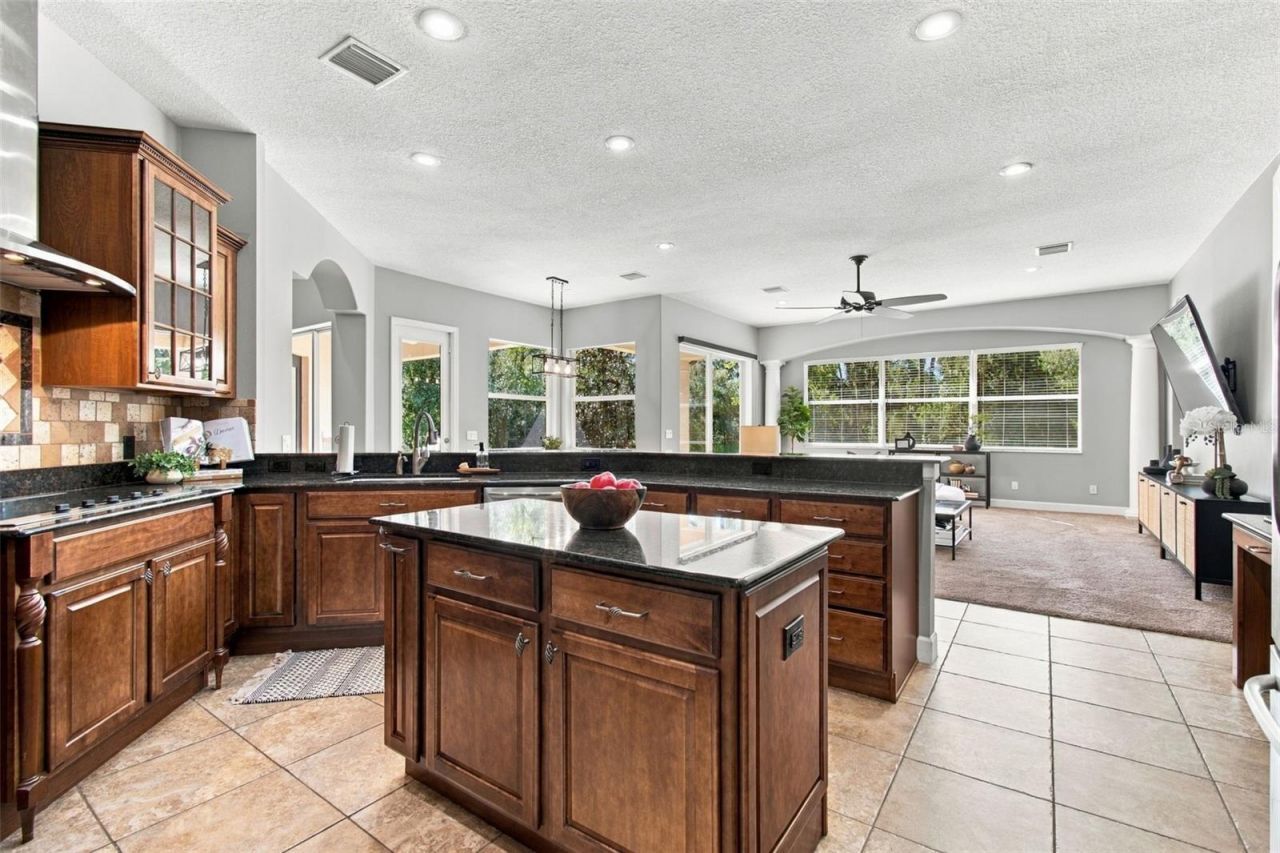 13887 Gavin Road, Dover, FL 33527 Photo