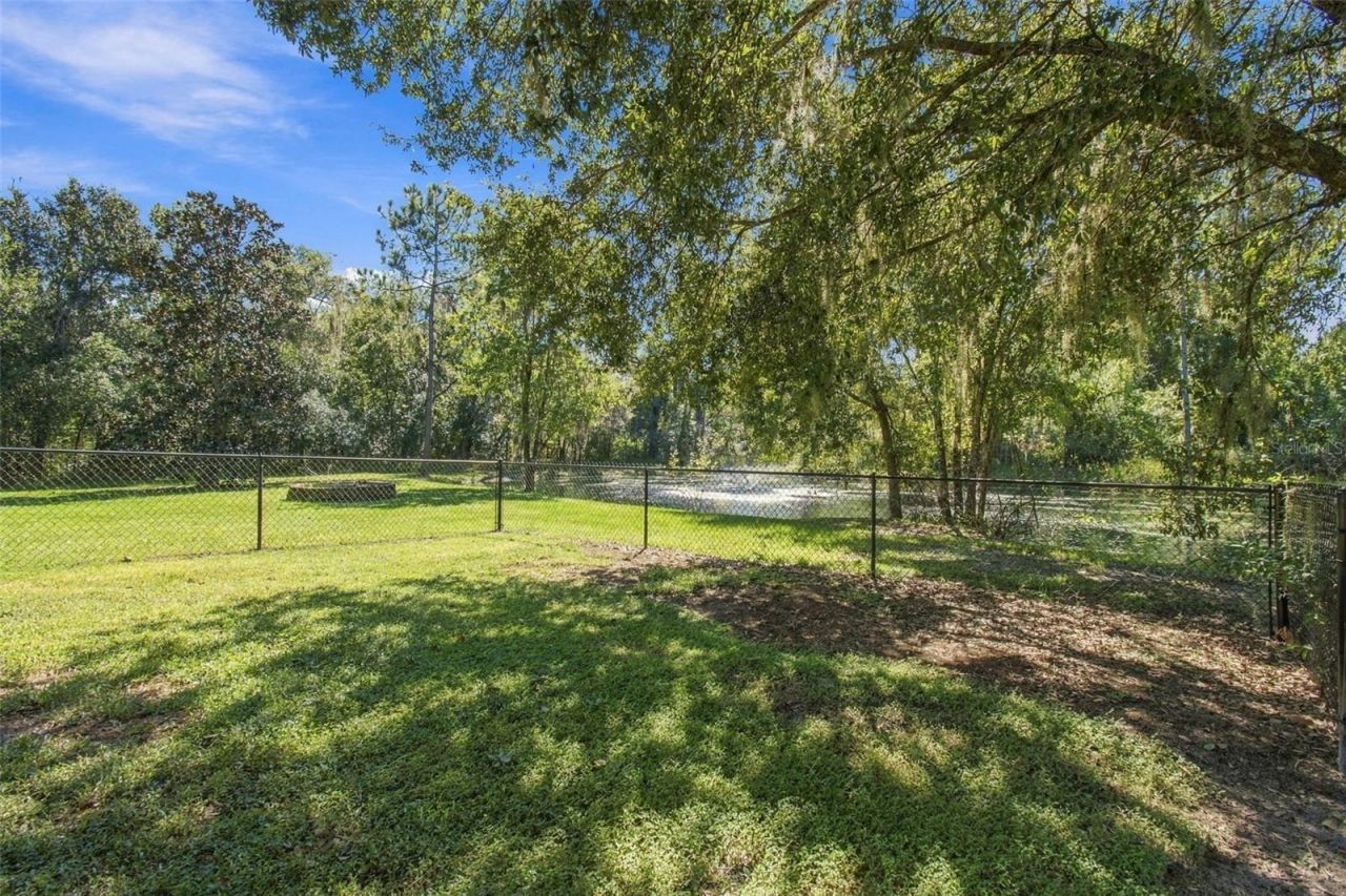 13887 Gavin Road, Dover, FL 33527 Photo