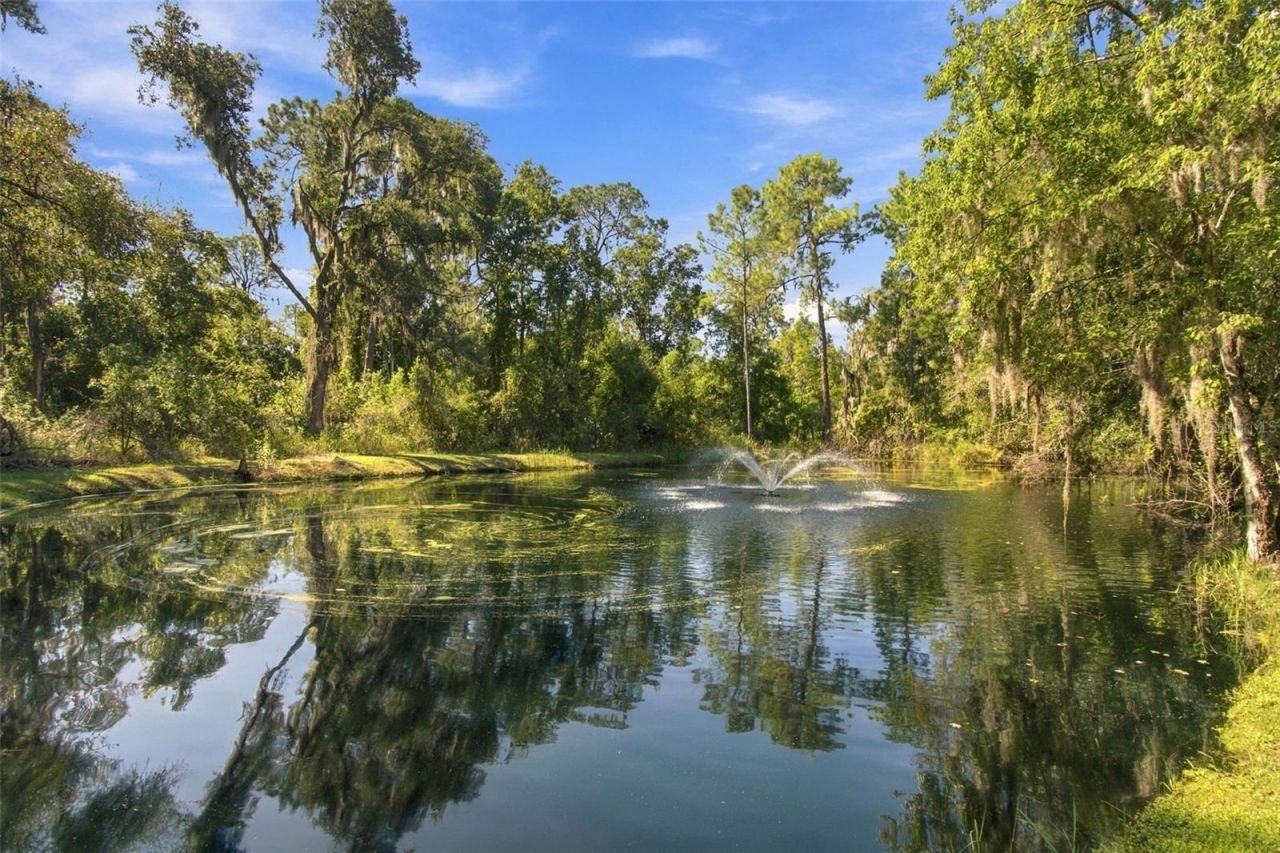 13887 Gavin Road, Dover, FL 33527 Photo