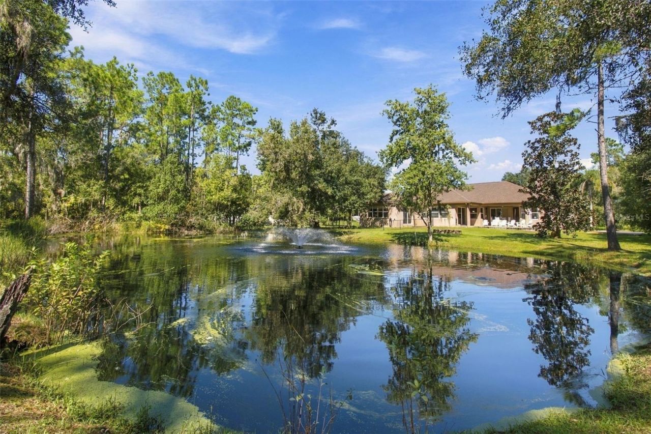 13887 Gavin Road, Dover, FL 33527 Photo