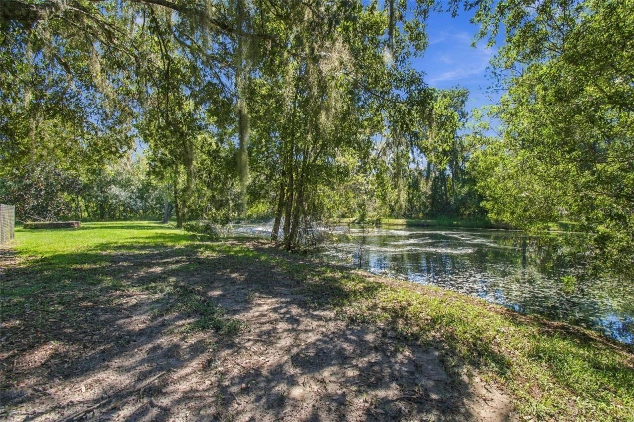 13887 Gavin Road, Dover, FL 33527 Photo