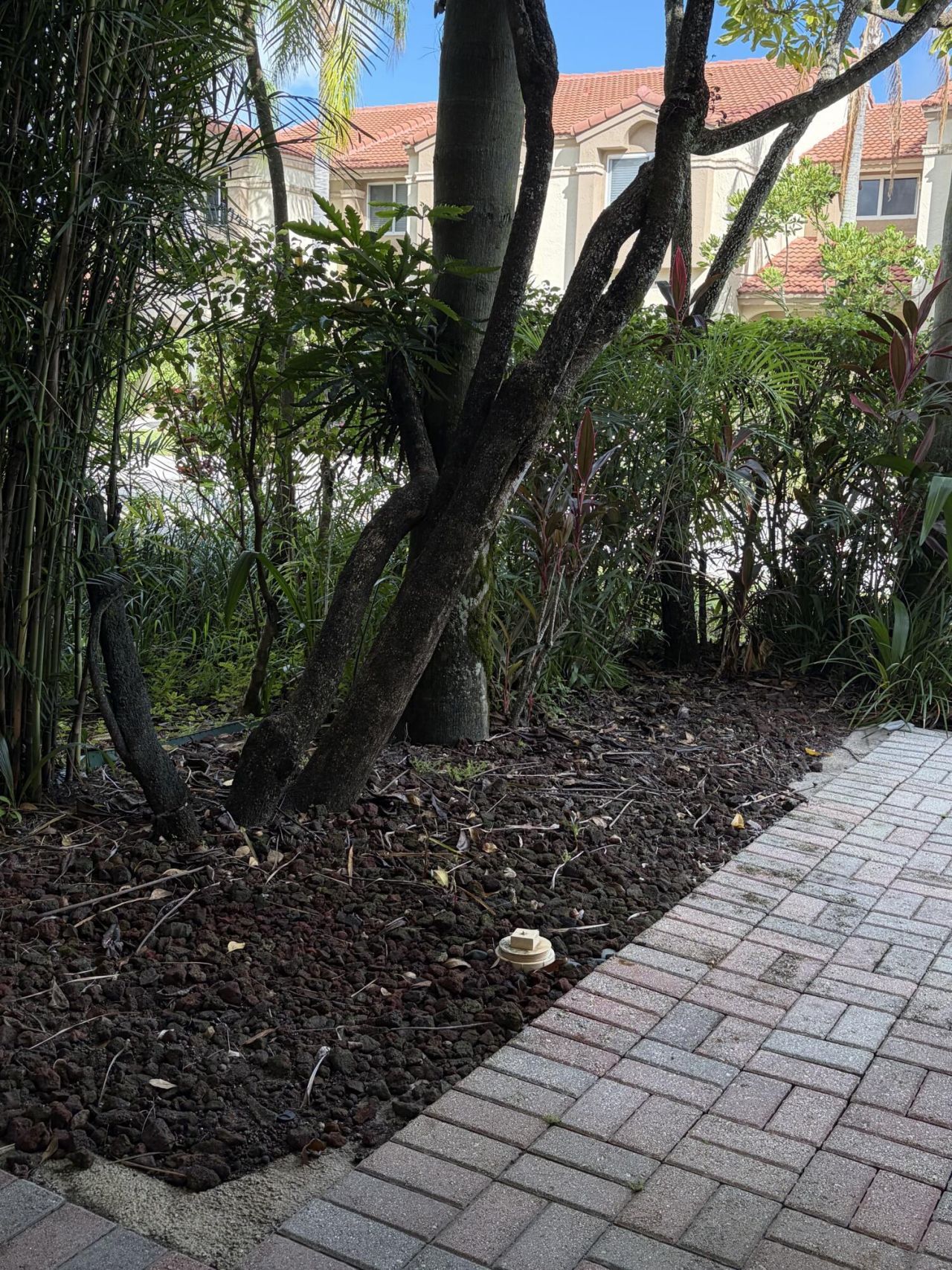 6770 Via Regina, Boca Raton, FL 33433 Photo