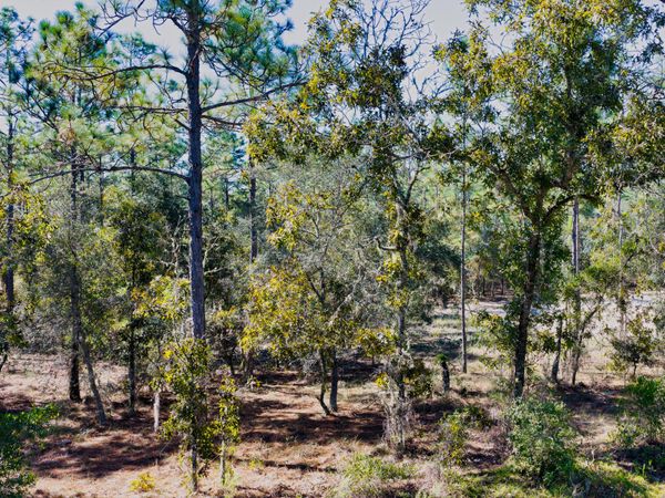 0 SW Edgewater Blvd, Dunnellon, FL 34431