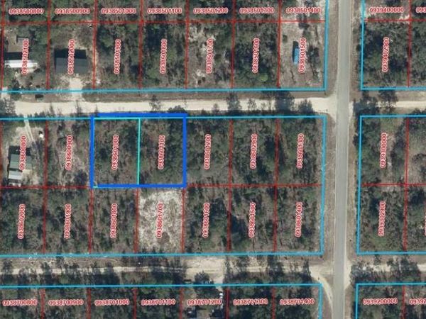 TBD NE 64TH STREET , WILLISTON, FL 32696