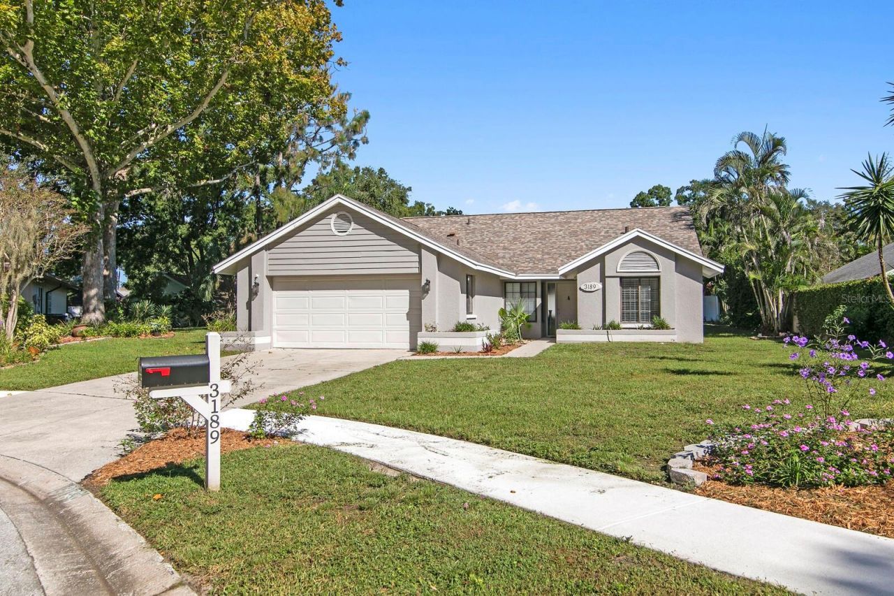 3189 PINE FOREST COURT  Palm Harbor, FL 34684