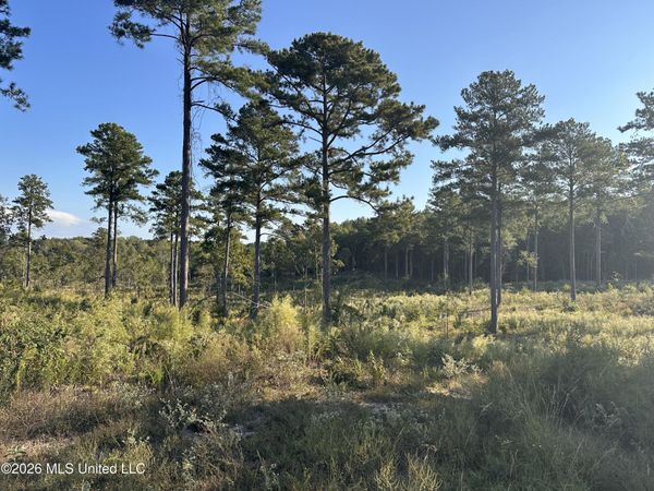 181 Berry Drive, Pearl, MS 39208